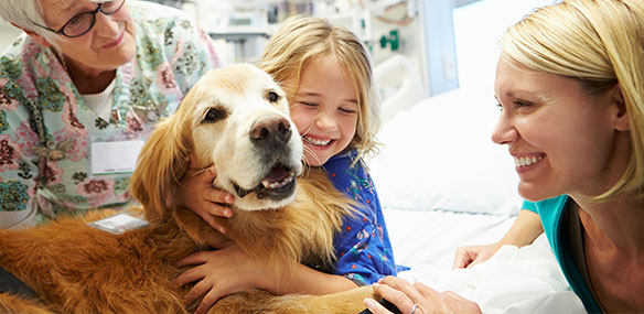 therapy dog visiting young hospital patient