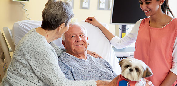 hospital volunteer bringing in therapy dog